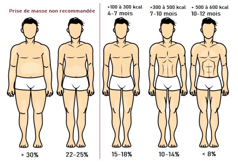 Taux de gras Homme