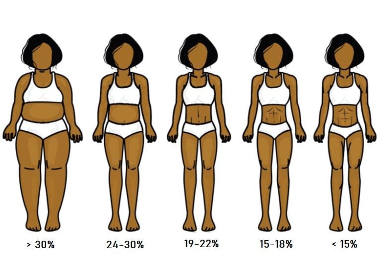 5 images of female bodies with the associated body fat percentage.